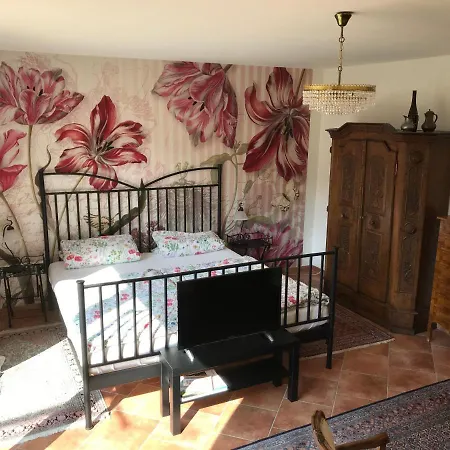 Ferienapartments Im Hintergaessel Санкт-Мартин